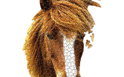 Ode aan samenwerking